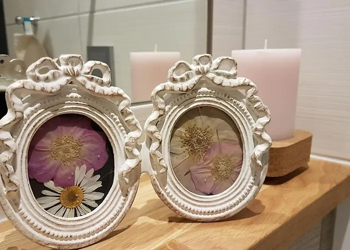 Appartement Rose Fritzlar